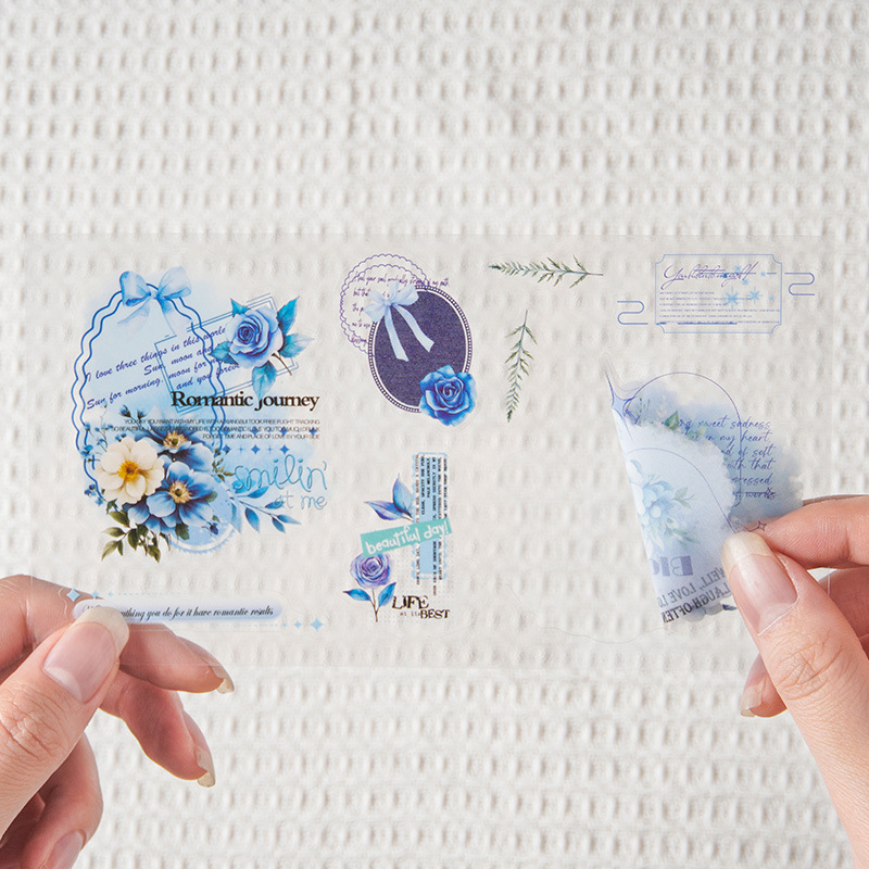 Livre d'autocollants en PET po - Embellishments For Scrapbooking avis et prix